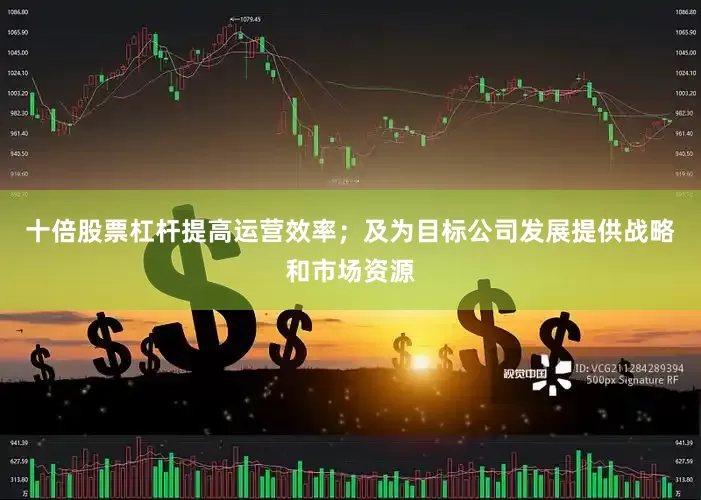 十倍股票杠杆提高运营效率；及为目标公司发展提供战略和市场资源