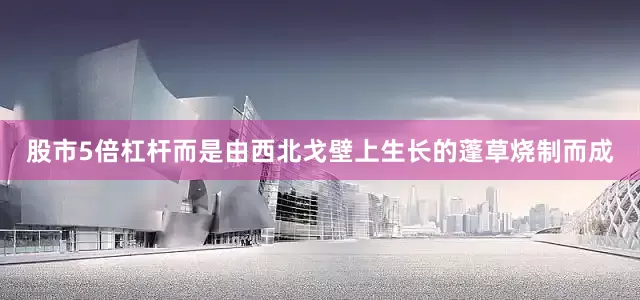 股市5倍杠杆而是由西北戈壁上生长的蓬草烧制而成