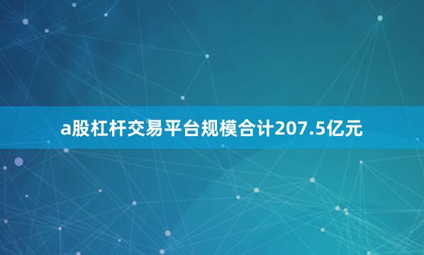 a股杠杆交易平台规模合计207.5亿元