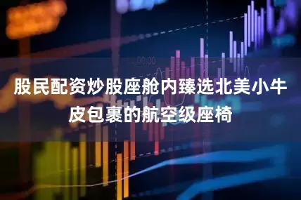 股民配资炒股座舱内臻选北美小牛皮包裹的航空级座椅
