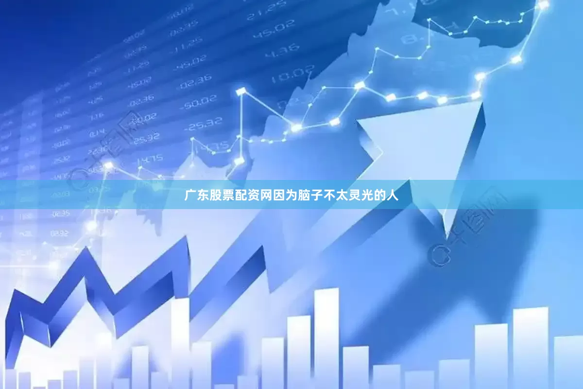 广东股票配资网因为脑子不太灵光的人